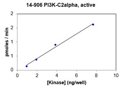 Eurofins DiscoverX PI3K-C2 Protein 10 &mu;g | Buy Online | Eurofins DiscoverX | Fisher Scientific